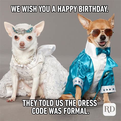 birthday memes funny|happy birthday meme wishes.